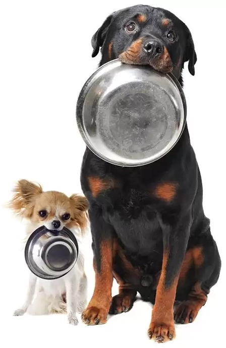 dogs-feeding-guidelines-holybarf